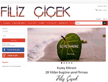 Tablet Screenshot of filizcicek.com